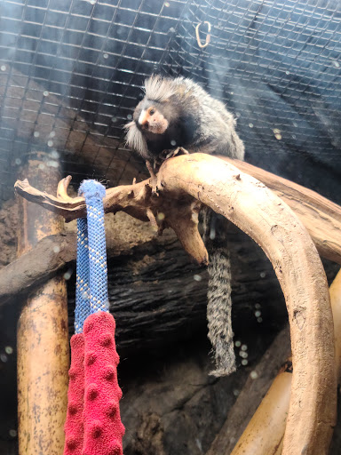 Pet Store «Ponds & Plants», reviews and photos