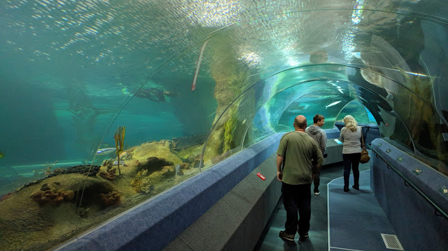 Reviews of The National Aquarium of New Zealand in Napier - Museum