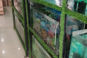 Laxmi Fish & Aquarium image