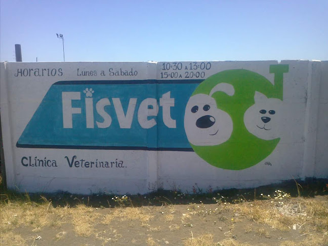 Opiniones de Fisvet en San Pedro de La Paz - Veterinario