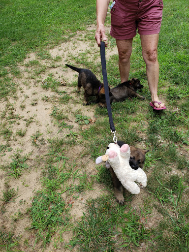 Tobacco Shop «Total Tobacco of Wayne», reviews and photos, 4908 S Wayne Rd, Wayne, MI 48184, USA