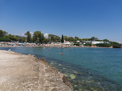 Agios Andreas Beach'in fotoğrafı çok temiz temizlik seviyesi ile