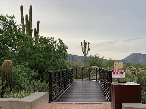 Nature Preserve «Gateway Trailhead - McDowell Sonoran Preserve», reviews and photos, 18333 N Thompson Peak Pkwy, Scottsdale, AZ 85255, USA