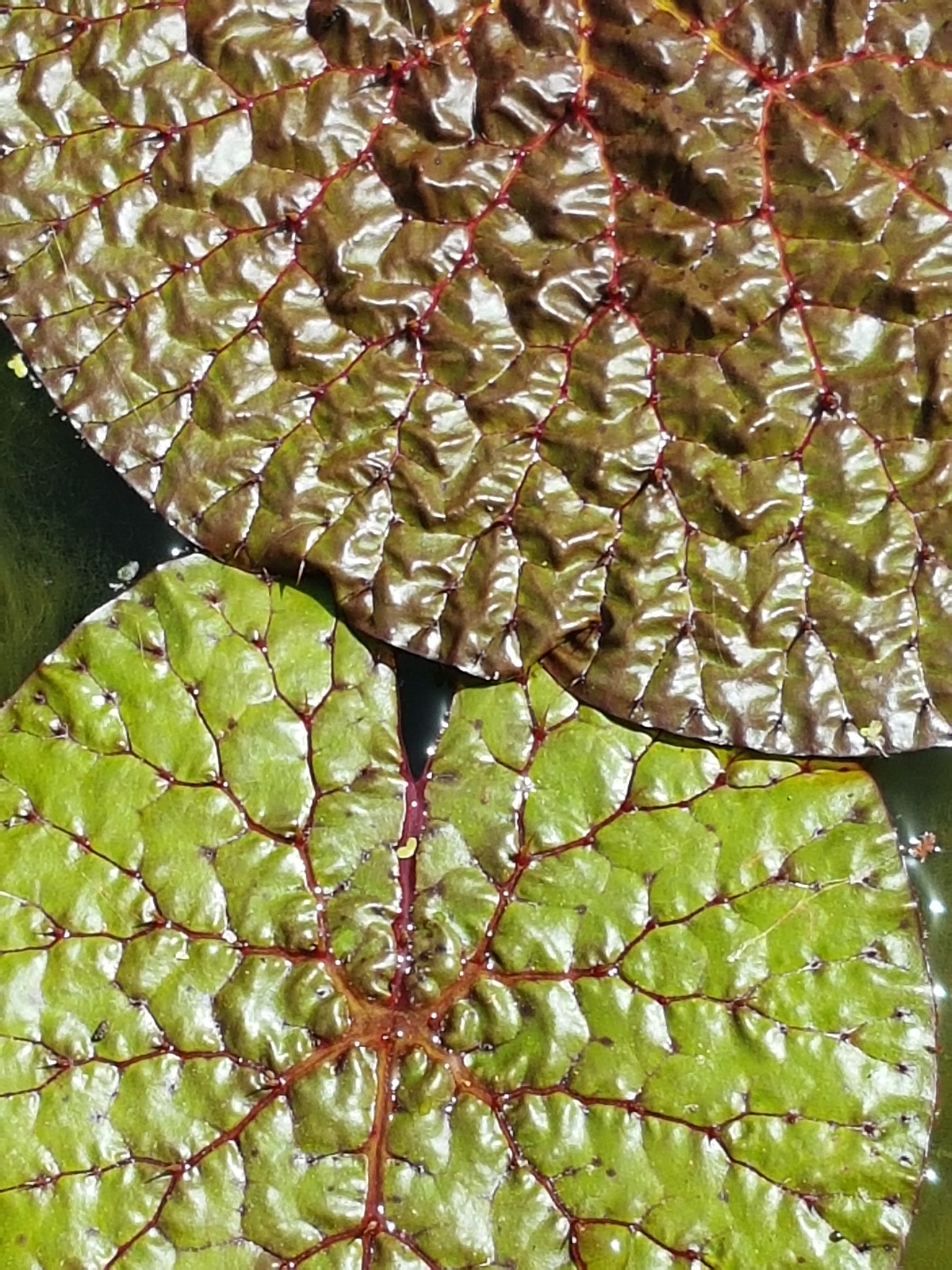 Photo n° 5 de l'avis de amon.o fait le 19/06/2022 à 12:03