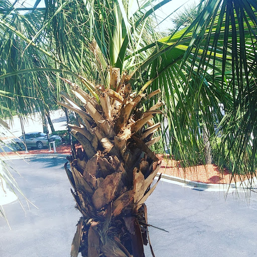 American Restaurant «Cracker Barrel Old Country Store», reviews and photos, 1303 Tadlock Dr, Murrells Inlet, SC 29576, USA