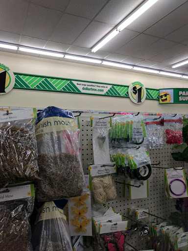 Dollar Store «Dollar Tree», reviews and photos, 11150 Research Blvd, Austin, TX 78759, USA