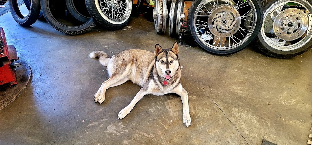 Lone Wolf Cycle Shop