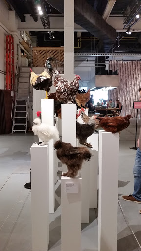 Museum «Museum of Food and Drink (MOFAD) Lab», reviews and photos, 62 Bayard St, Brooklyn, NY 11222, USA