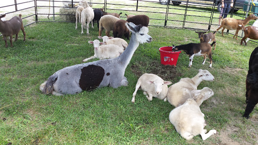 Tractor Dealer «James R Rosencrantz & Son Inc», reviews and photos, 184 South Rd, Kensington, NH 03833, USA