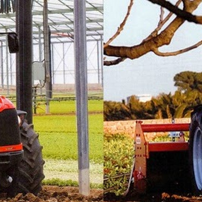 F.LLI MAROCCHI - vendita e riparazione macchine agricole e giardinaggio, motoseghe decespugliatori