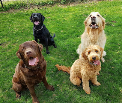 DogsUnlimited Dog Training & Behaviour Professionals
