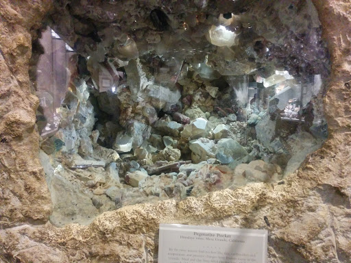 Gift Shop «Smithsonian Museum of Natural History Gift Shops», reviews and photos, 10th St NW & Constitution Avenue Northwest, Washington, DC 20004, USA