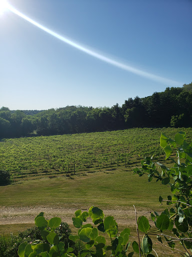 Winery «Falconer Vineyards», reviews and photos, 3572 Old Tyler Rd, Red Wing, MN 55066, USA