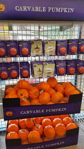 Dollar Store «Dollar Tree», reviews and photos, 1207 E Huntington Dr, Duarte, CA 91010, USA