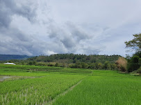 Foto TK  Pembina Negeri Lintongnihuta, Kabupaten Humbang Hasudutan