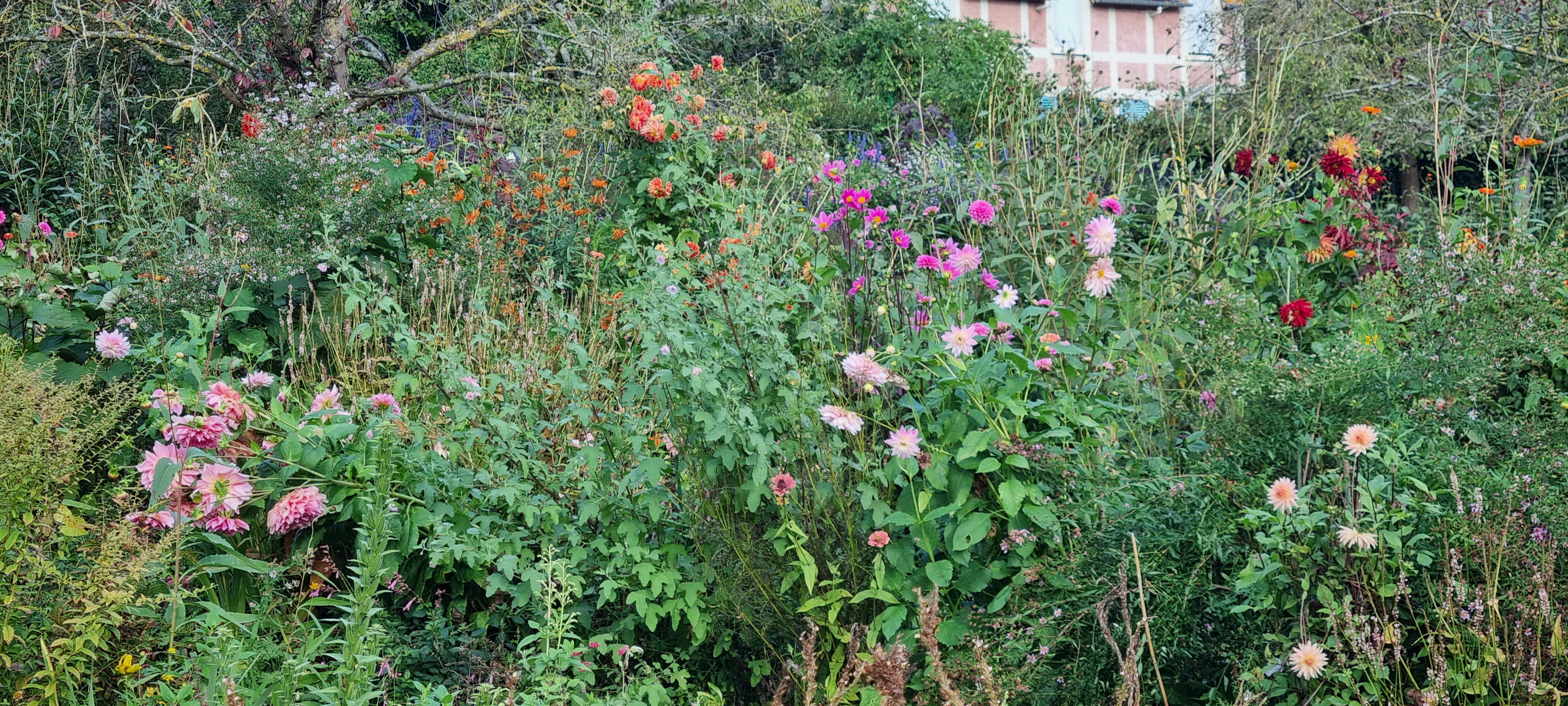 Photo n° 39 de l'avis de lemagicien40. fait le 03/11/2023 à 07:28