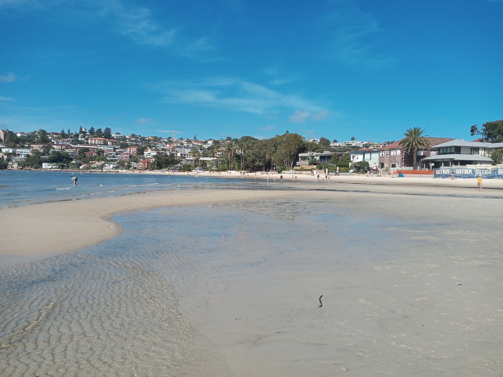 Rose Bay Beach的照片 带有碧绿色纯水表面