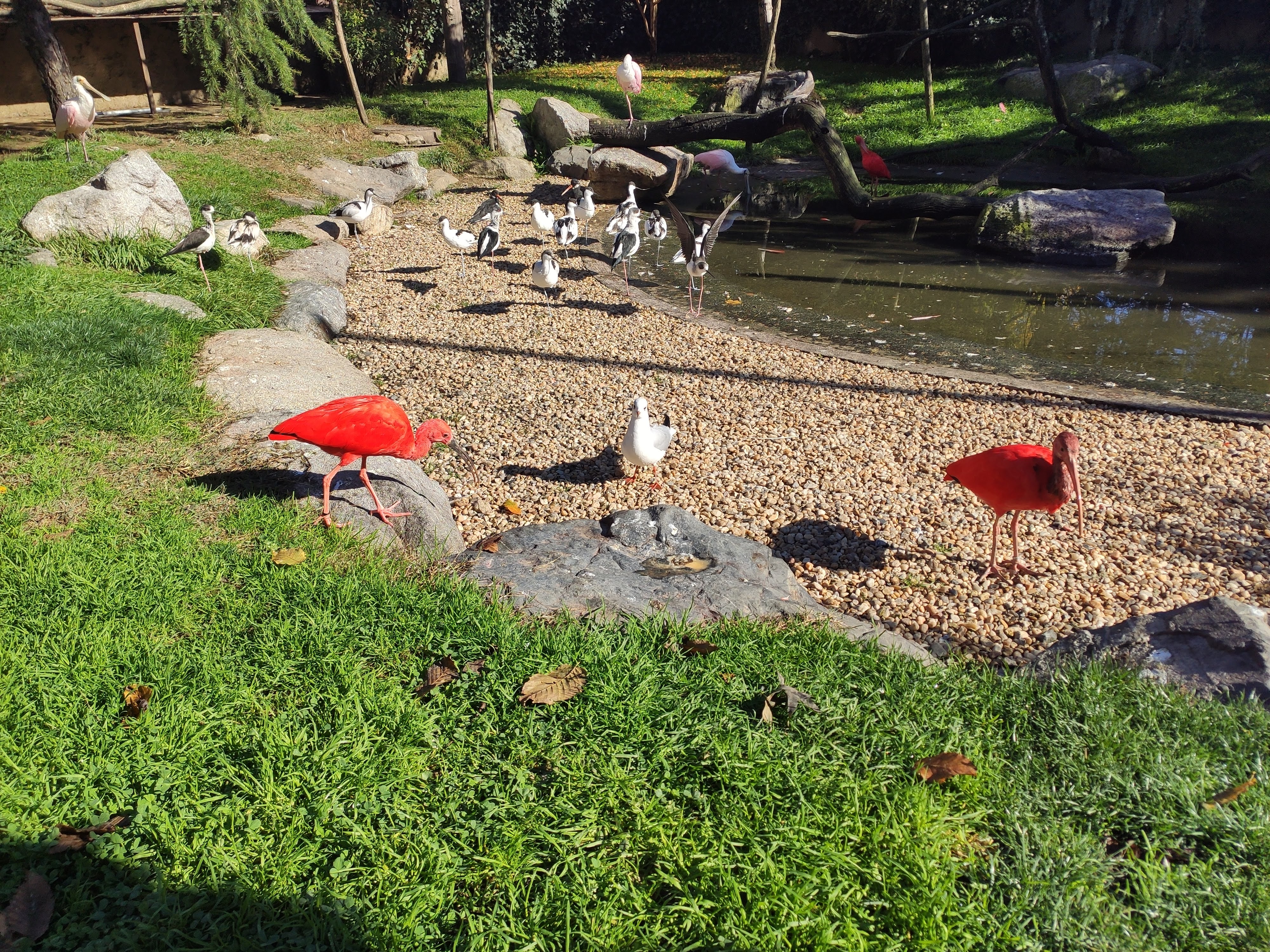 Photo n° 6 de l'avis de Karina.t fait le 06/11/2021 à 20:51