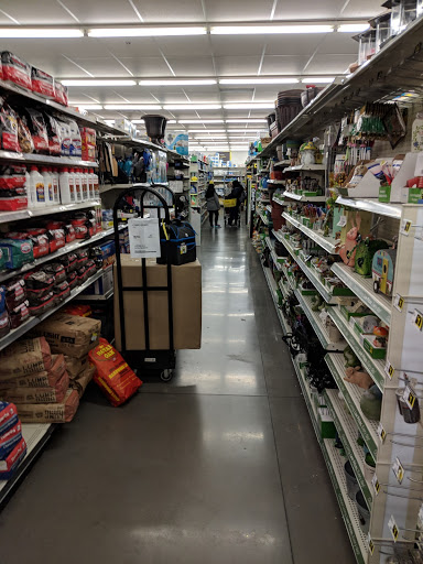 Home Goods Store «Dollar General», reviews and photos, 5078 S Maryland Pkwy, Las Vegas, NV 89119, USA