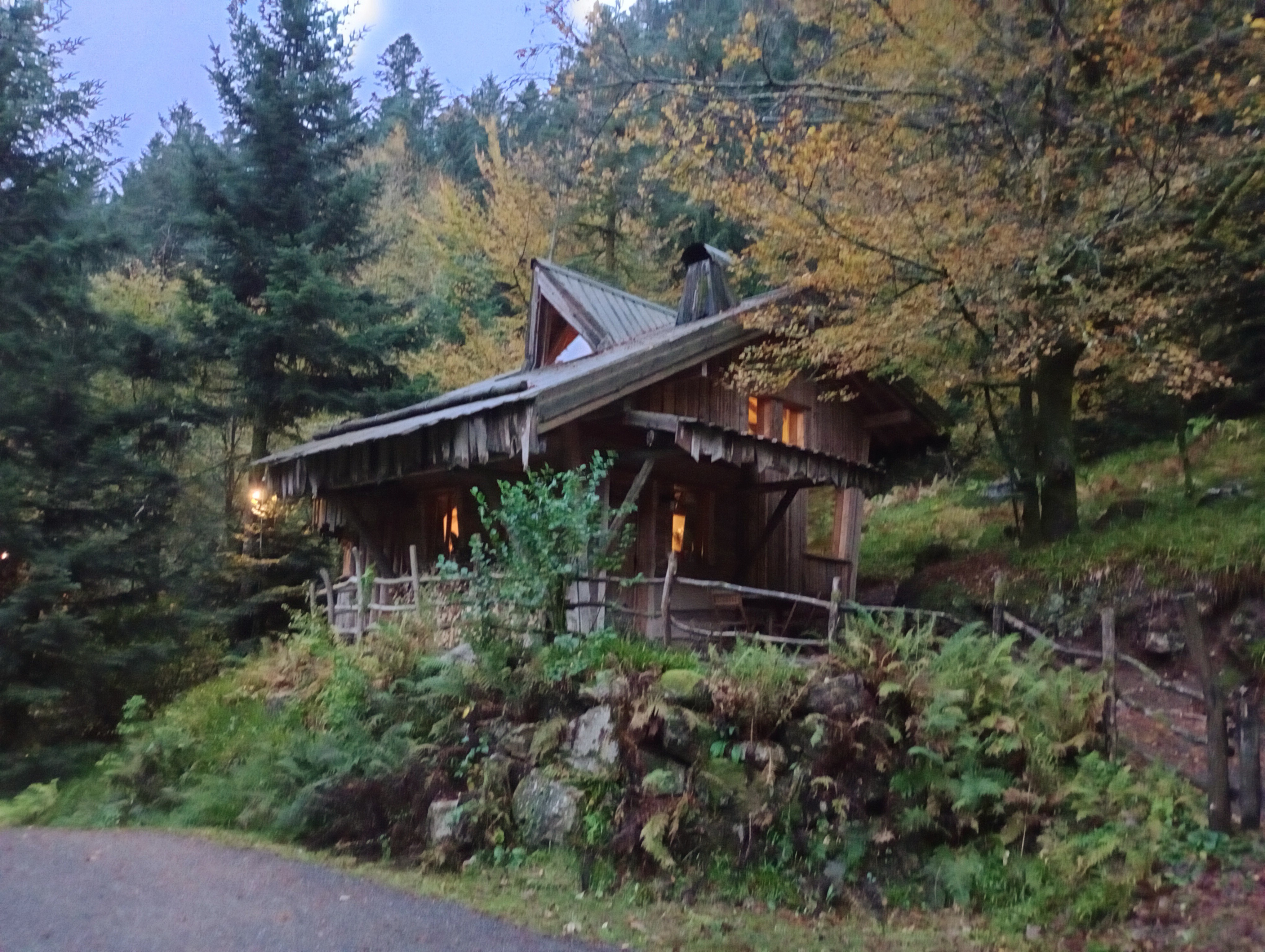 Photo n° 2 de l'avis de the.i fait le 27/10/2023 à 16:31
