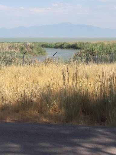 Golf Club «TalonsCove Golf Club», reviews and photos, 2220 S TalonsCove Dr, Saratoga Springs, UT 84045, USA