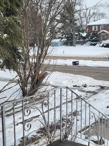 Furniture Store «Midwest Furniture Liquidators», reviews and photos, 9100 W 191st St, Mokena, IL 60448, USA