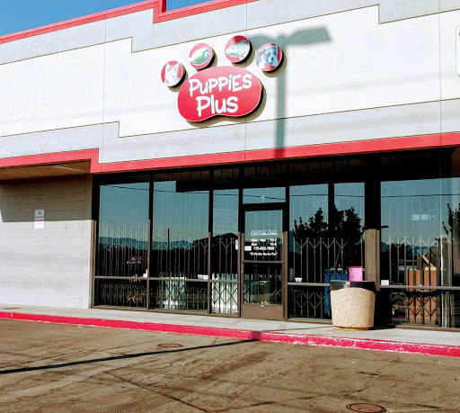 Pet Store «Puppies Plus LLC», reviews and photos, 6405 S Virginia St # 1, Reno, NV 89511, USA