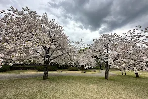 Shinonome Park image