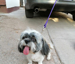 ACUA-REY tienda de mascotas photo