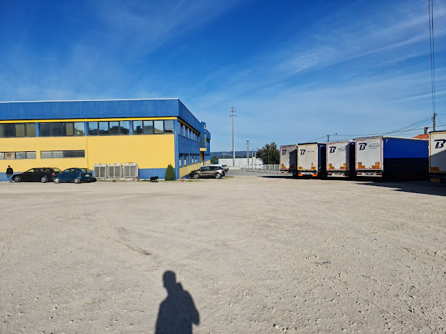 Bricotir Transportes SA - Serviço de transporte