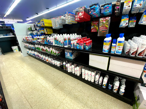 Tropical Fish Store «Lovely Pets Aquarium Store», reviews and photos, 69 Parkingway, Quincy, MA 02169, USA