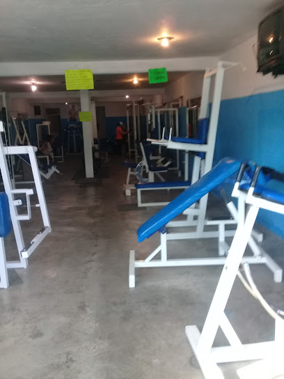 Phoenix Gym - Centro, 42180 Pachuquilla, Hidalgo, Mexico