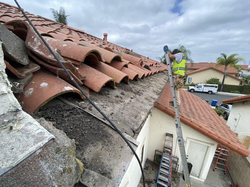 Cura Termite and Pest Control image