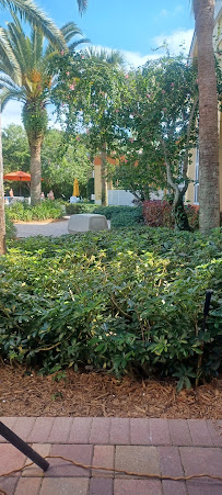 Sunny Florida Group - Ariadne Regueira, Realtor - Photo 3 - Car repair in Pembroke Pines, FL, Hialeah