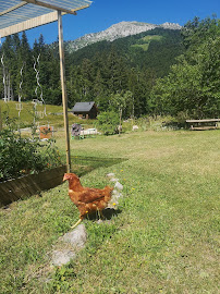 Photos du propriétaire du Restaurant Le Chalet Du Planolet à Saint-Pierre-d'Entremont - n°10