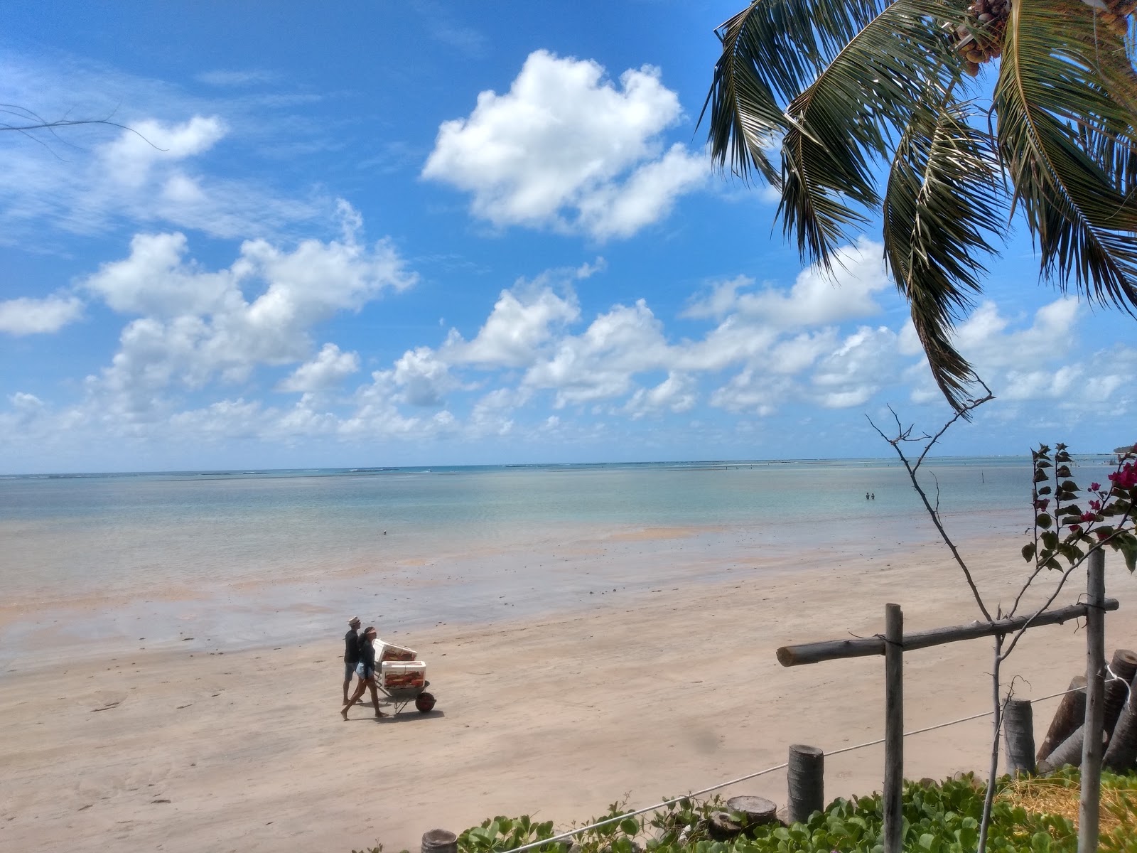 Foto de Praia de Peroba - lugar popular entre os apreciadores de relaxamento