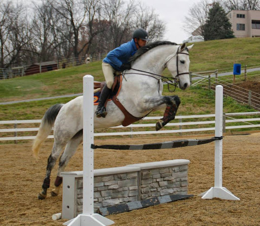 Horse Riding School «Horseng Farm LLC», reviews and photos, 6475 Warden Rd, New Tripoli, PA 18066, USA