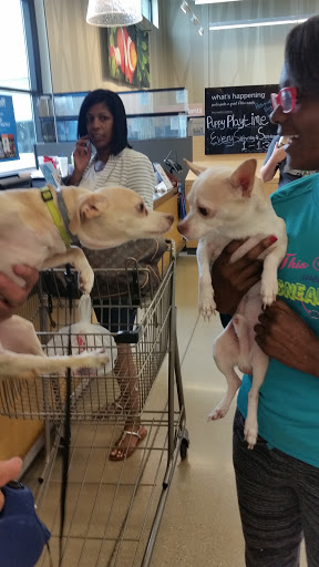 Pet Supply Store «Petco Animal Supplies», reviews and photos, 14609 Airline Hwy Ste 104, Gonzales, LA 70737, USA