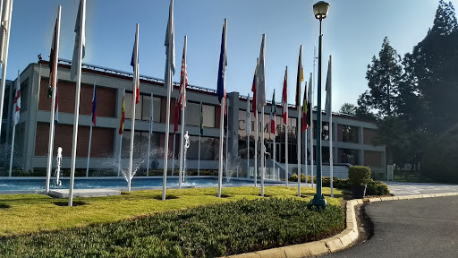 Centro International de Mejoramiento de Maíz y Trigo (CIMMYT)