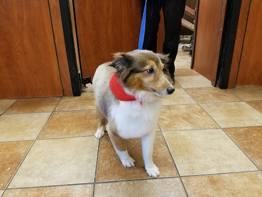 Pet Supply Store «PetSmart», reviews and photos, 4045 Dowlen Rd, Beaumont, TX 77706, USA