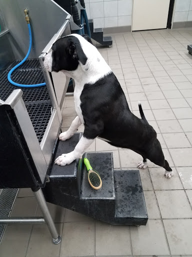 Pet Supply Store «Pet Supplies Plus», reviews and photos, 5050 S Federal Blvd #25a, Englewood, CO 80111, USA