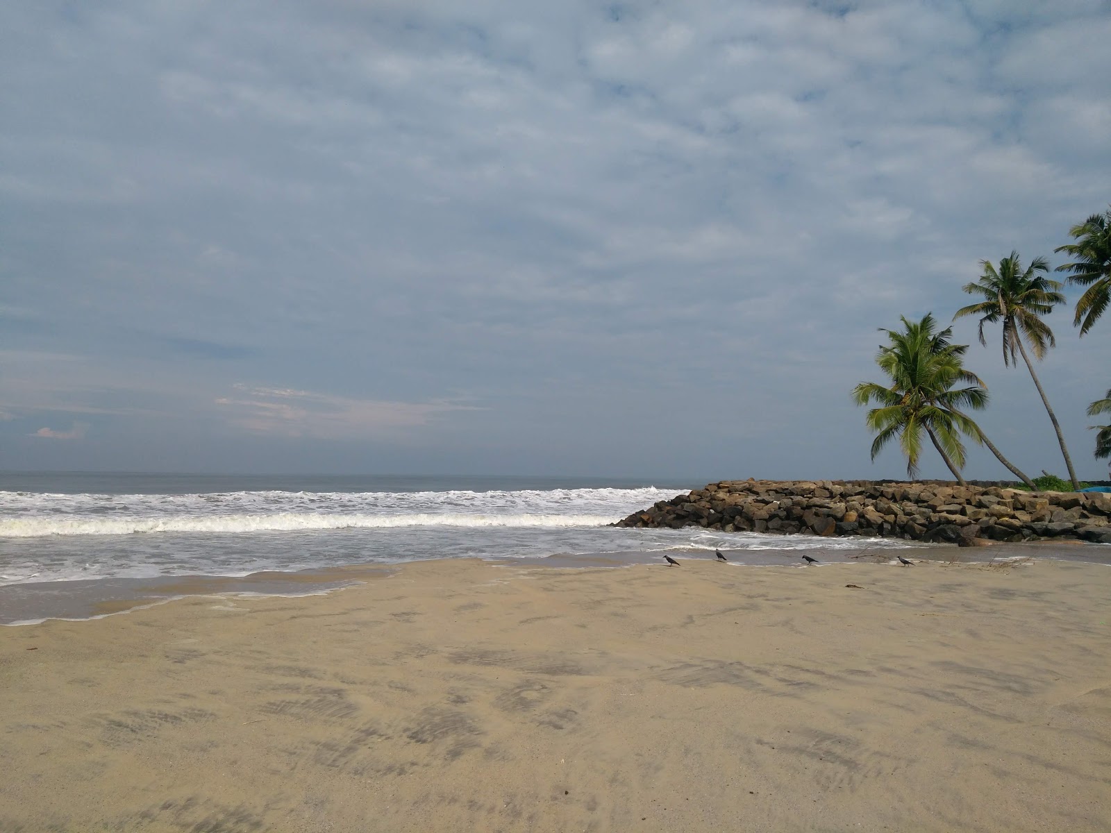 Fotografija Chappakkadavu Beach z visok stopnjo čistoče