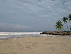 Zdjęcie Chappakkadavu Beach z poziomem czystości wysoki