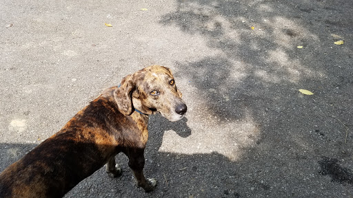 Tourist Attraction «Ozone Falls», reviews and photos, 14563 TN-1, Rockwood, TN 37854, USA