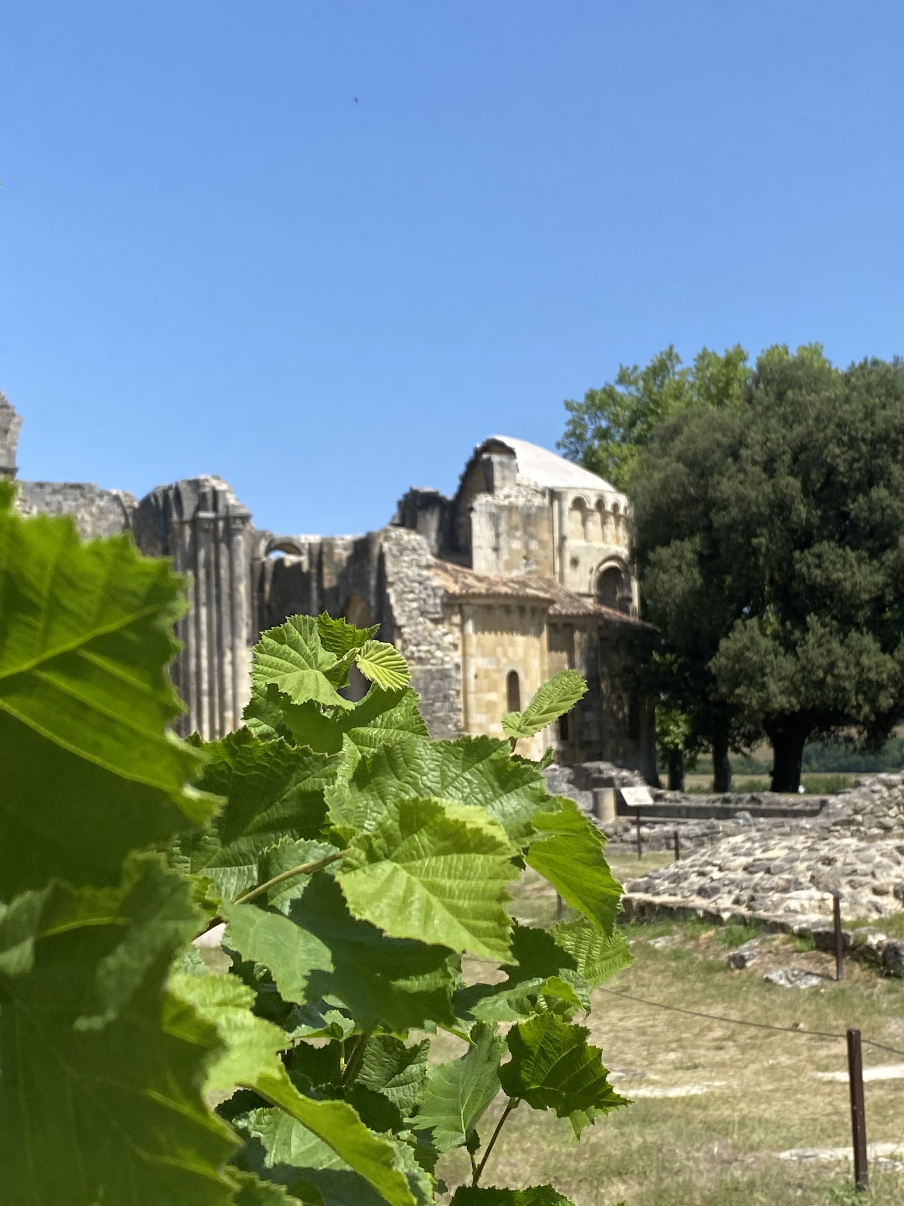 Photo n° 17 de l'avis de Kalto.a fait le 22/07/2022 à 15:56