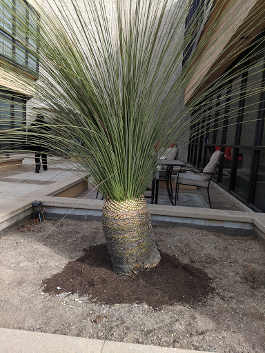 Auto Body Shop «Caliber Collision», reviews and photos, 7 Oldfield, Irvine, CA 92618, USA