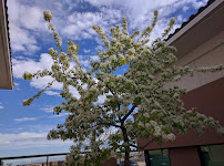 MaxHealth Center - Spring Valley - Photo 7 - Car repair in Las Vegas, NV, North Las Vegas