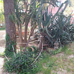 Photo n°4 de l'avis de Franco.a fait le 14/05/2023 à 15:25 sur le  Duca di Castelmonte à Trapani