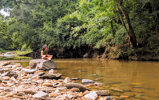 Park «Barcroft Park», reviews and photos, 4200 S Four Mile Run Dr, Arlington, VA 22206, USA