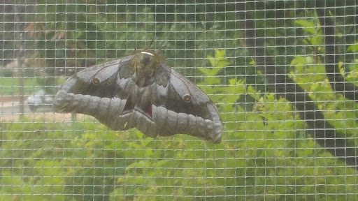 Animal Protection Organization «Butterfly Pavilion», reviews and photos, 6252 W 104th Ave, Westminster, CO 80020, USA